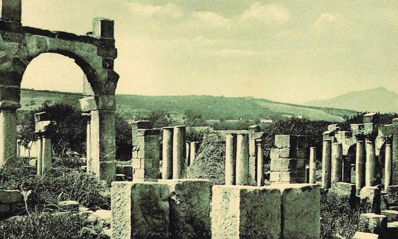 ALGERIE-RUINES ROMAINES DE TIGZIRT (38).jpg